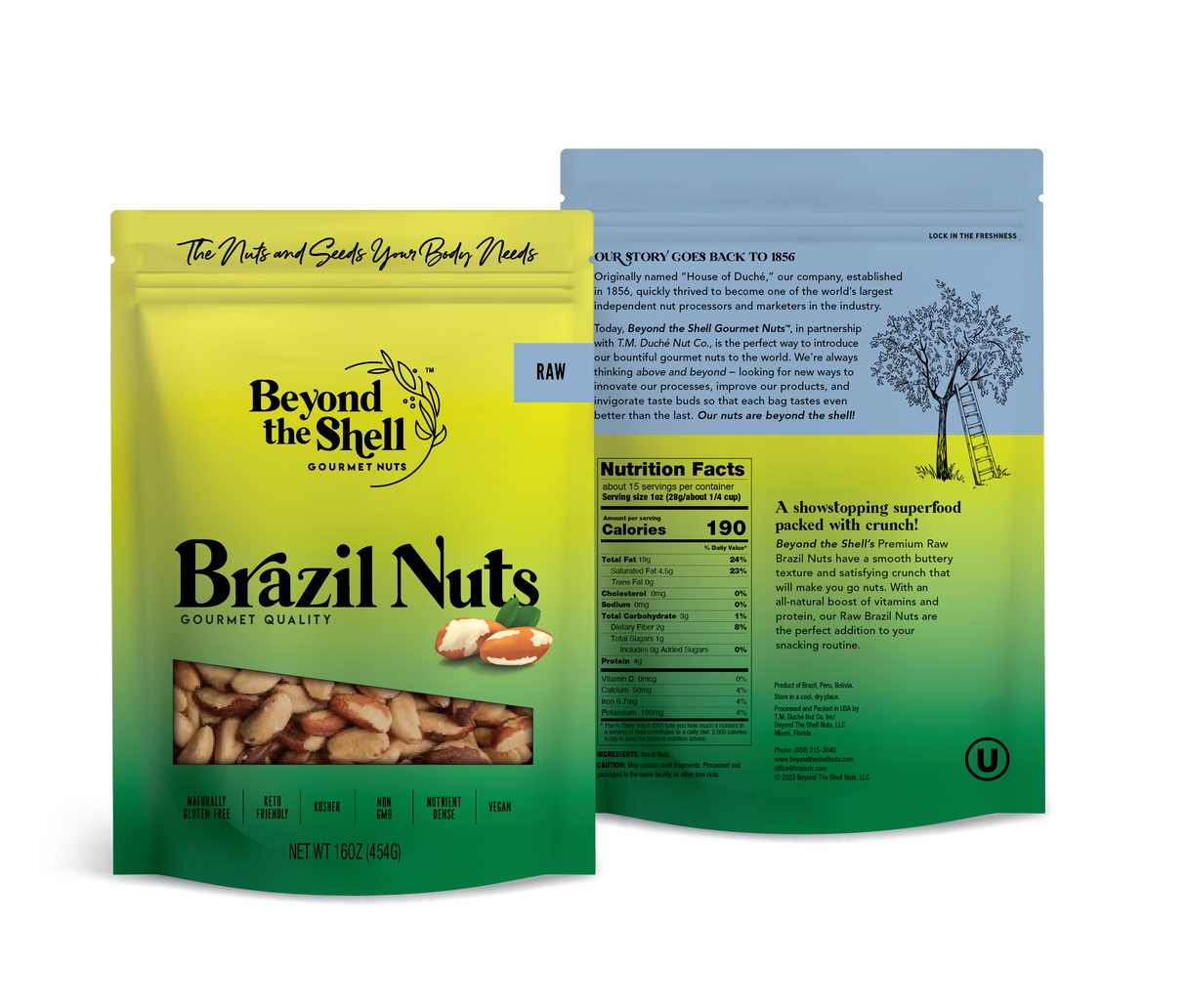 Nueces de Brasil crudas